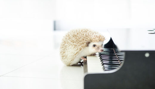 パート保育士に興味あるけどピアノが弾けなくても大丈夫？