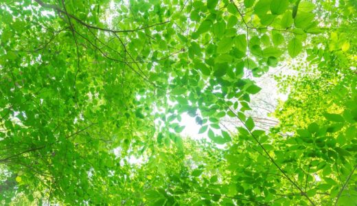 中学生の初定期テストでご褒美作戦。五教科４００点以上でiPad Air