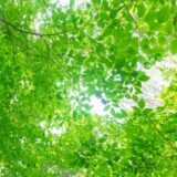 中2娘が部活を退部！辞め方と周りの反応は？